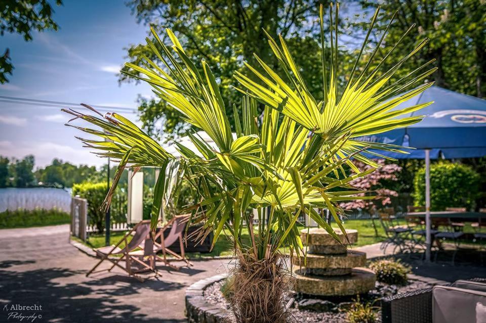 Sopherl Am See - Fruehstueck Auf Der Seeterrasse, Sehr Ruhig Und Wunderschoen Am See, 3 Minuten Nach Oberpfaffenhofen, Viele Radtouren, Restaurants & Cafes In Der Umgebung Weßling Εξωτερικό φωτογραφία